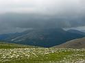 IMG_3546