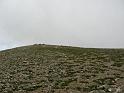 IMG_3559