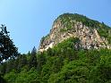 IMG_4003