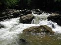 IMG_4132