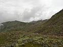 IMG_4395