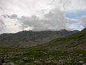 IMG_4517