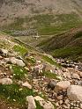 IMG_4527