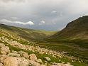 IMG_4535