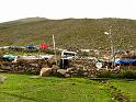 IMG_4549
