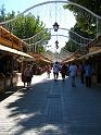 IMG_5586