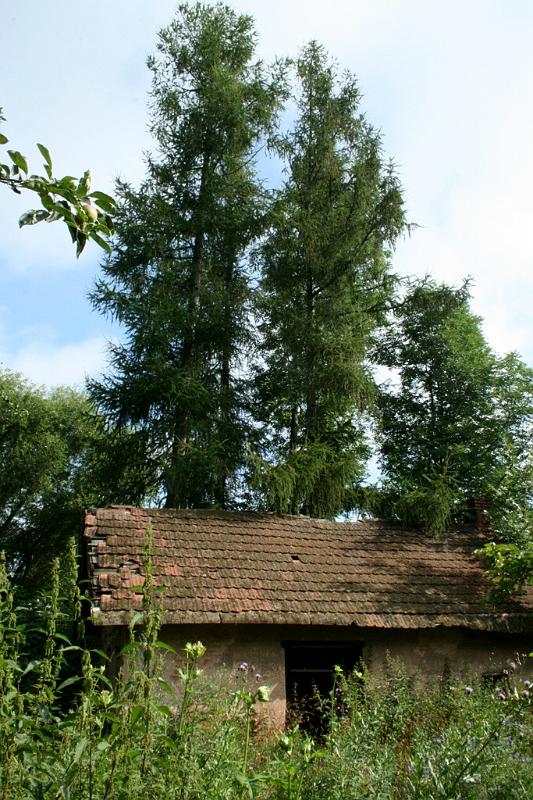 vh_06.JPG - Věra_H