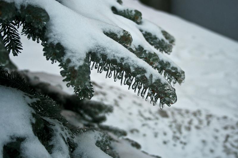 101225-16.jpg - Ledovka