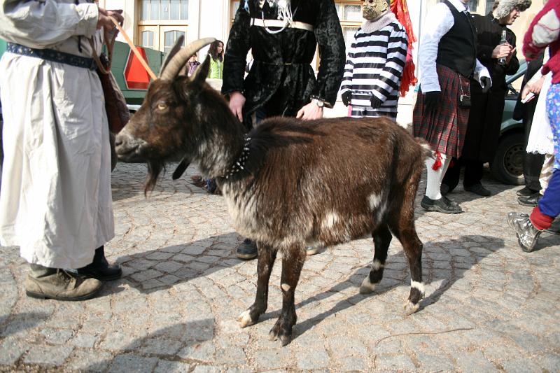 110305-13.jpg - Železnický masopust