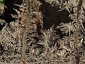 _SAM67041