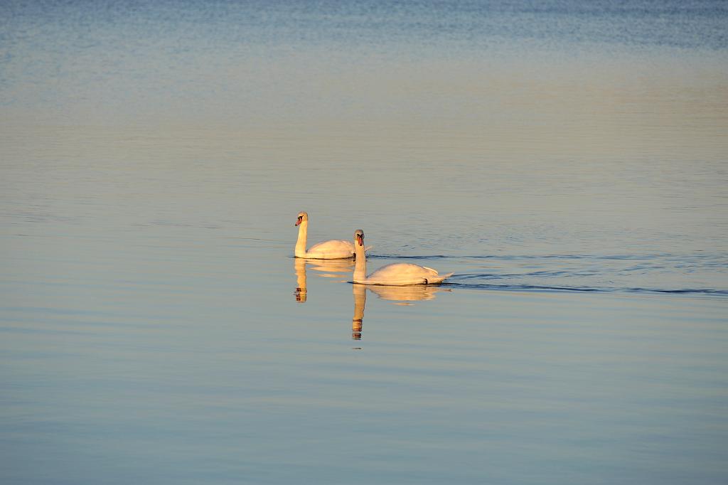 2016_02_117.JPG