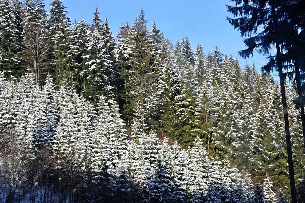 2016_02_118.JPG