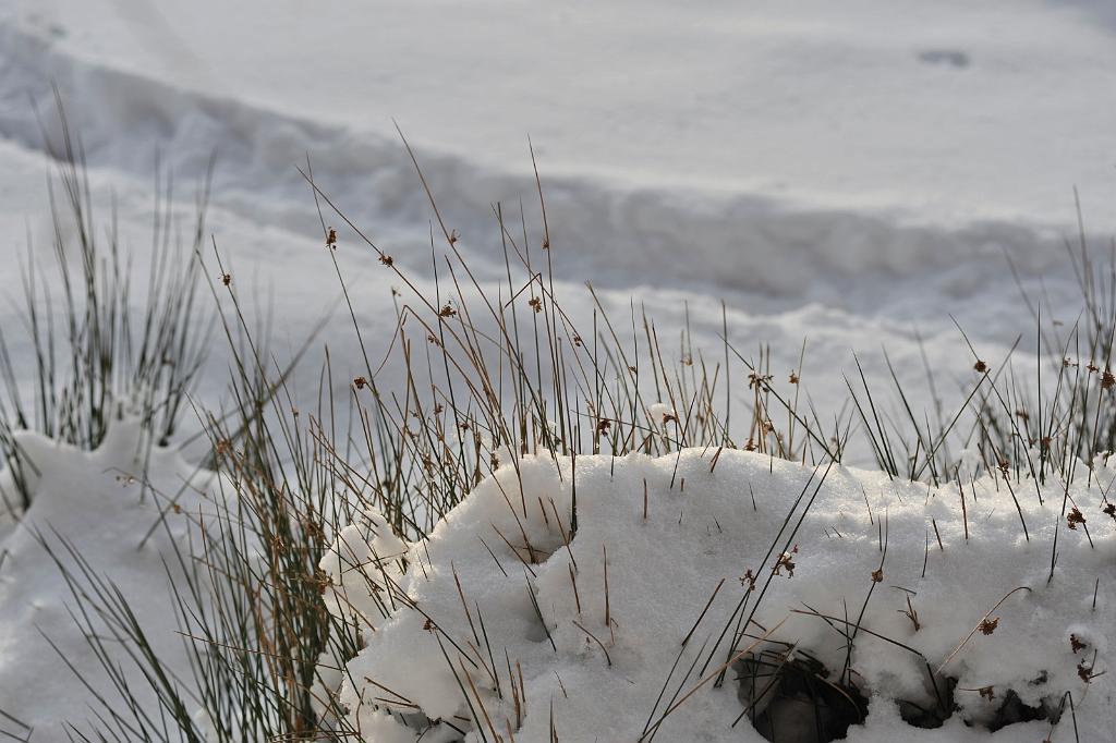 2016_02_129.JPG