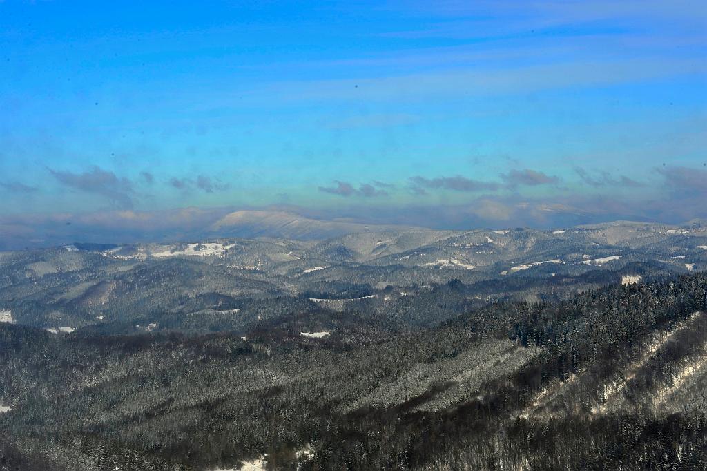 2016_02_96.JPG