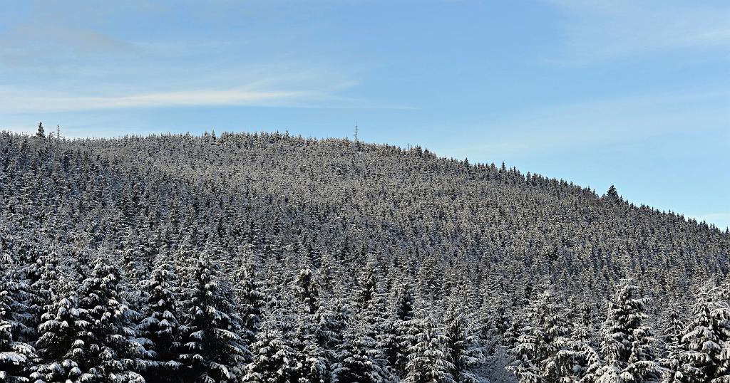 2016_02_97.JPG