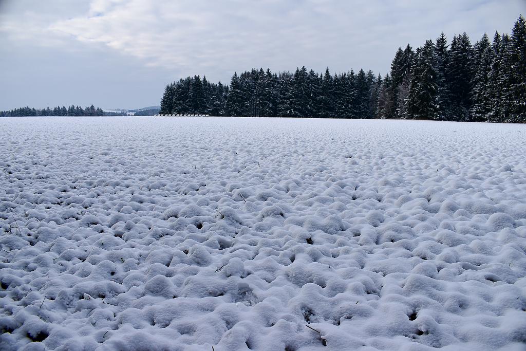 DSC_0669.jpg - D5600